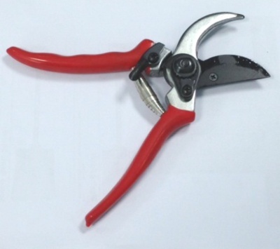 Secateurs